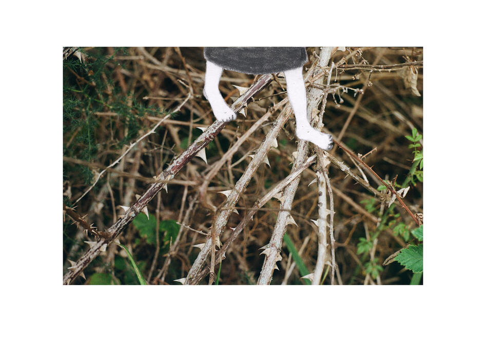 Untitled Untitled